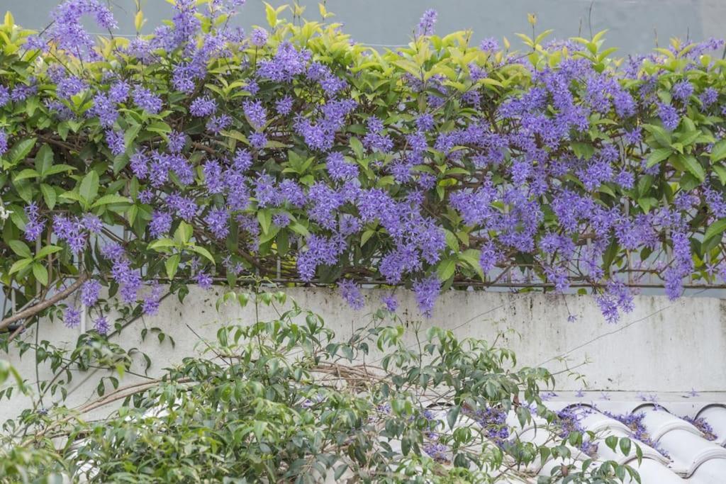 Morada Das Flores Porto Alegre Eksteriør bilde