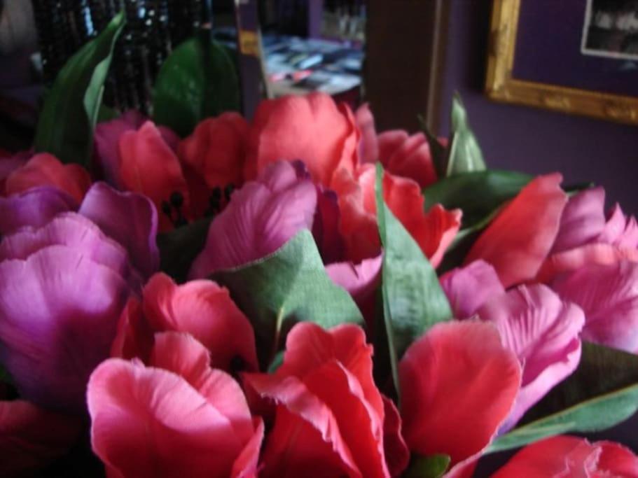 Morada Das Flores Porto Alegre Eksteriør bilde